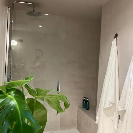 Céntrico Con Jardín En Appartement 4*