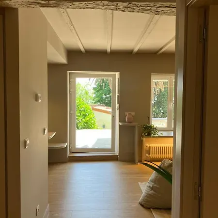 Extrahotelero Centrico Con Jardin En 4*